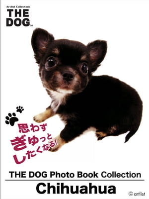 THE DOG Photo Book Collection Chihuahua