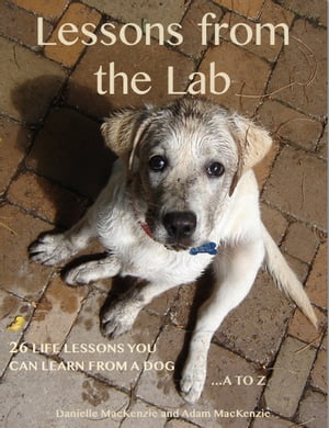 Lessons from the Lab: 26 Life Lessons You Can Learn from a Dog...A to Z