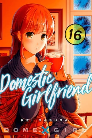 Domestic Girlfriend 16