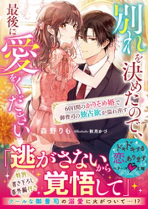 別れを決めたので、最後に愛をください~60日間のかりそめ婚で御曹司の独占欲が溢れ出す~