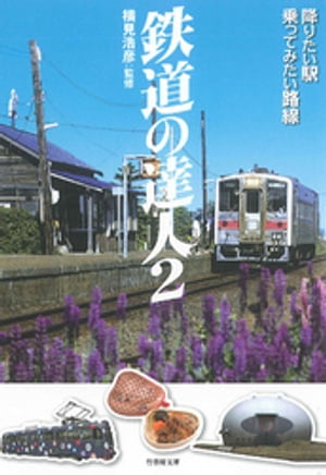 鉄道の達人2　降りたい駅　乗ってみたい路線【電子書籍】[ 横見浩彦 ]