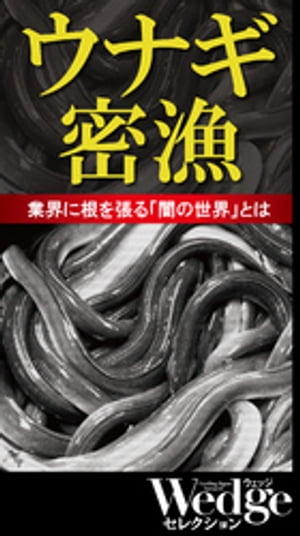 ウナギ密漁 業界に根を張る「闇の