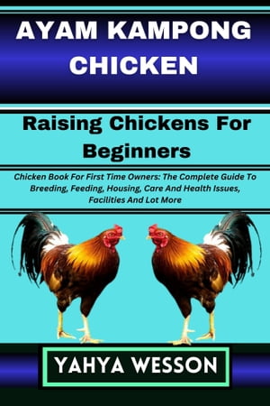 AYAM KAMPONG CHICKEN Raising Chickens For Beginners