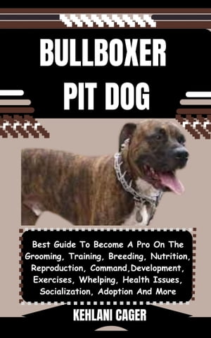BULLBOXER PIT DOG Best Guide To Become A Pro On 