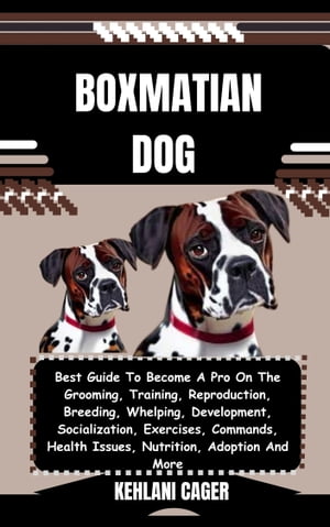 BOXMATIAN DOG