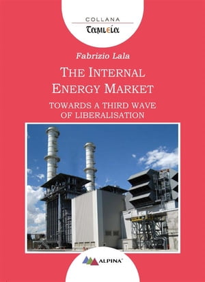 The Internal Energy Market