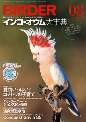 BIRDER2017年8月号