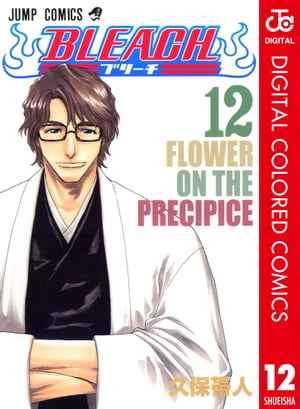 BLEACH カラー版 12【電子書籍】[ 久保帯人 ]