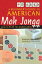 Beginner's Guide to American Mah Jongg