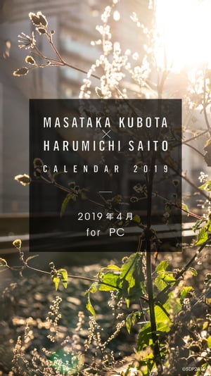 窪田正孝×写真家・齋藤陽道　カレンダー2019.4 for PC