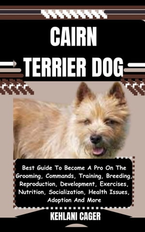 CAIRN TERRIER DOG