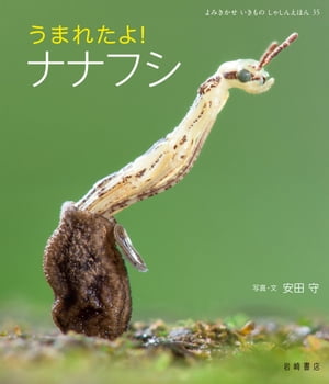 うまれたよ！　ナナフシ【電子書籍】[ 安田守 ]