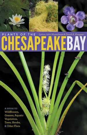 ŷKoboŻҽҥȥ㤨Plants of the Chesapeake Bay A Guide to Wildflowers, Grasses, Aquatic Vegetation, Trees, Shrubs, and Other FloraŻҽҡ[ Lytton John Musselman ]פβǤʤ4,032ߤˤʤޤ