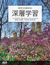 深層学習【電子書籍】[ 岩澤　有祐 ]