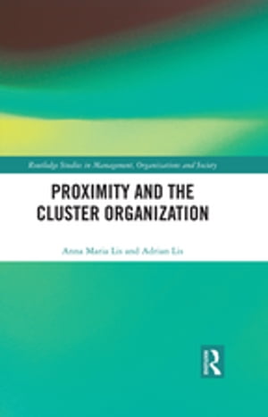 Proximity and the Cluster Organization