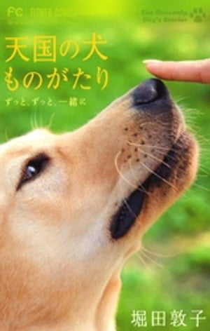 天国の犬ものがたり〜ずっと、ずっと、一緒に〜