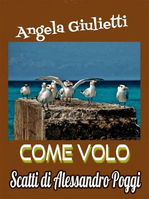 Come volo