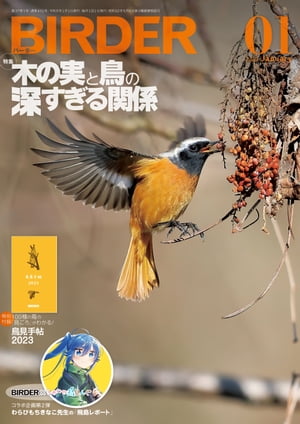 BIRDER2023年1月号【電子書籍】 BIRDER編集部