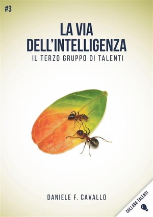 La via dell'Intelligenza