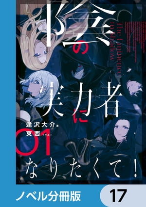 陰の実力者になりたくて！【ノベル分冊版】　17