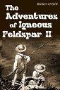 ŷKoboŻҽҥȥ㤨The Adventures of Igneous Feldspar IIŻҽҡ[ Robert O'Dell ]פβǤʤ667ߤˤʤޤ