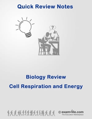 Cell Respitation and Energy - Quick Review & Outline