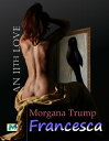 ŷKoboŻҽҥȥ㤨Francesca Toy boy wants a weddingŻҽҡ[ Morgana Trump ]פβǤʤ90ߤˤʤޤ