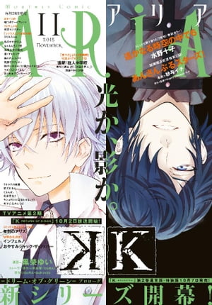 ARIA 2015年11月号[2015年9月28日発売]【電子書籍】[ 水野十子 ]