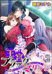 王宮ブラックマリッジ 異世界トリップしたら宰相様に抱かれていました。 （2）【電子書籍】[ 御井ミチル ]