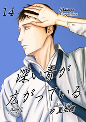 深い青が広がっている 分冊版14【電子書籍】[ 汐夏生流 ]