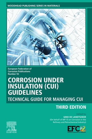 Corrosion Under Insulation (CUI) Guidelines