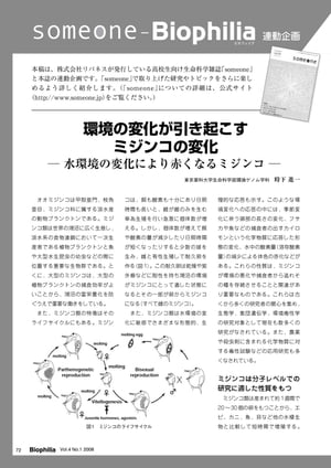 someone - Biophilia 連動企画 : 環境の変化が引き起こすミジンコの変化 ー 水環境の変化により赤くなるミジンコー