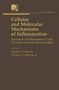 Cellular and Molecular Mechanisms of Inflammatio