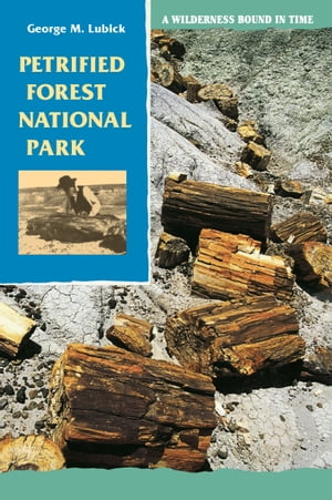 Petrified Forest National Park