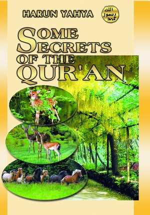 Some Secrets of the Qur'an