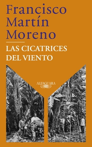 Las cicatrices del viento