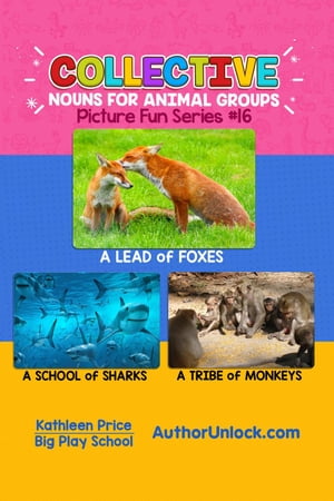 Collective Nouns for Animal Groups - Picture Fun
