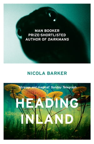 Heading Inland【電子書籍】[ Nicola Barker ]