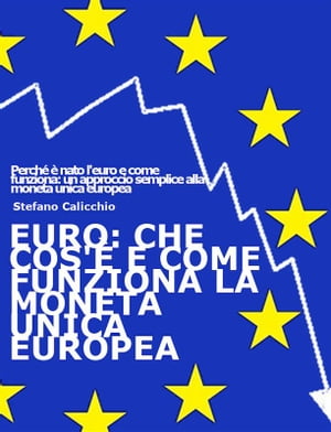 EURO: che cos'è e come funziona la moneta unica europea
