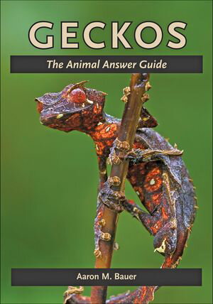 Geckos