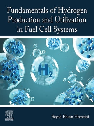 Fundamentals of Hydrogen Production and Utilization in Fuel Cell Systems