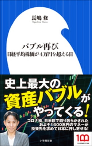 バブル再び　〜日経平均株価が４万円を超える日〜（小学館新書）