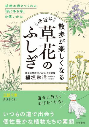 散歩が楽しくなる身近な草花のふしぎ