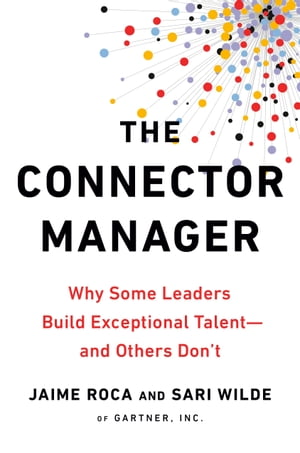 The Connector Manager