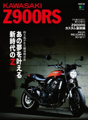 KAWASAKI Z900RS