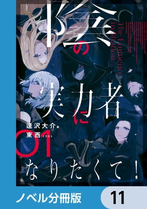 陰の実力者になりたくて！【ノベル分冊版】　11