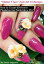 Master Class Nail Art Technique: How to Create 4D Flower Plasticine Gel Nails like a Pro?