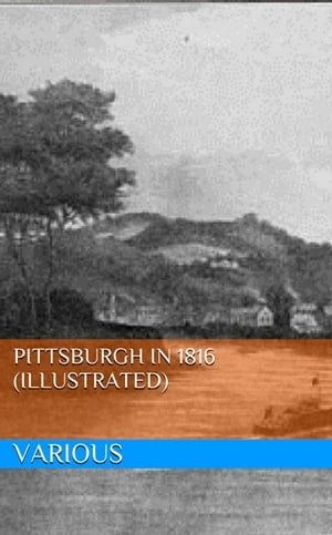 Pittsburgh in 1816 (Illustrated)