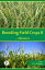 Breeding Field Crops-II (Advances)Żҽҡ[ V.L. Chopra ]