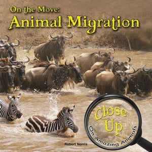 On the Move Animal MigrationŻҽҡ[ Norris ]